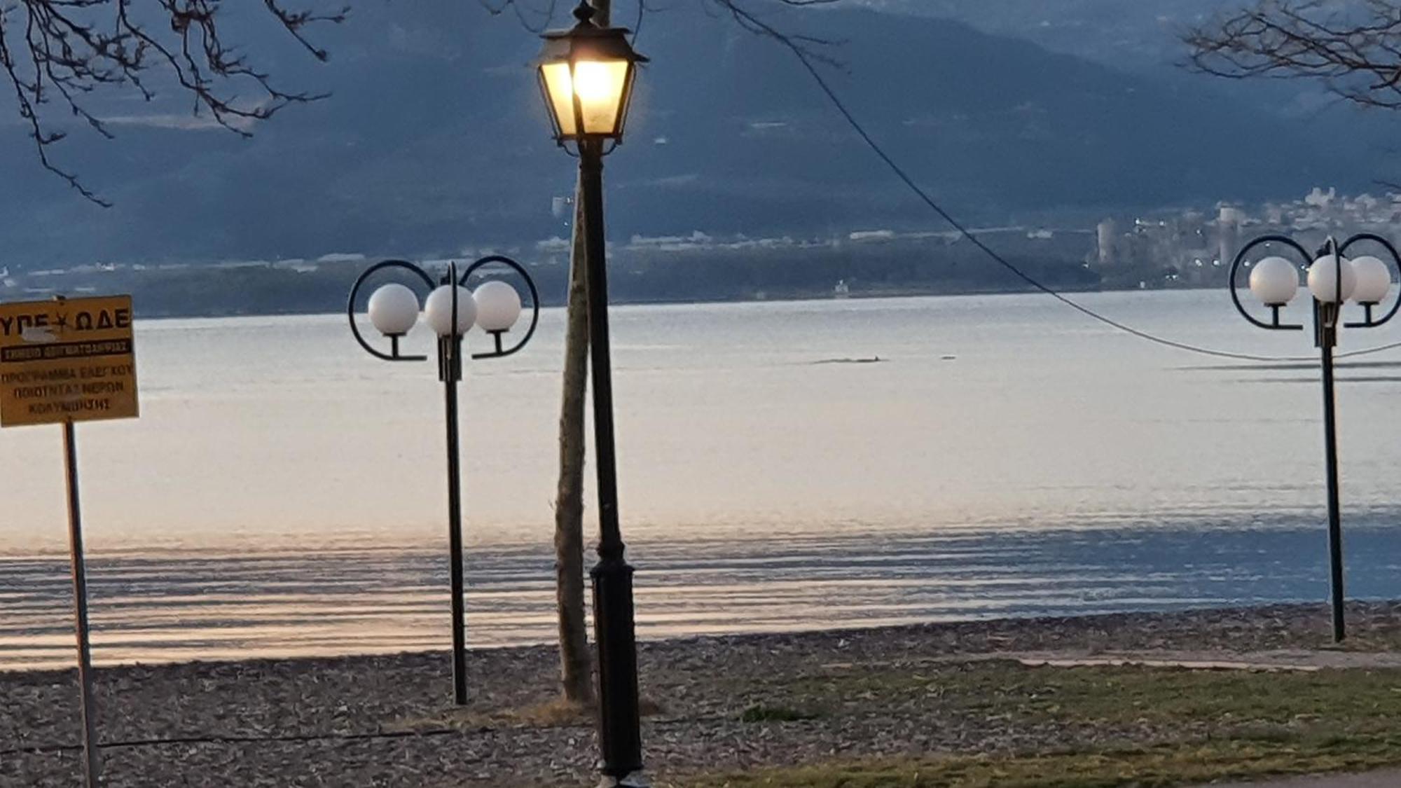 Nafpaktos Seaside Apartment Экстерьер фото